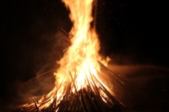 Maifeuer 2011